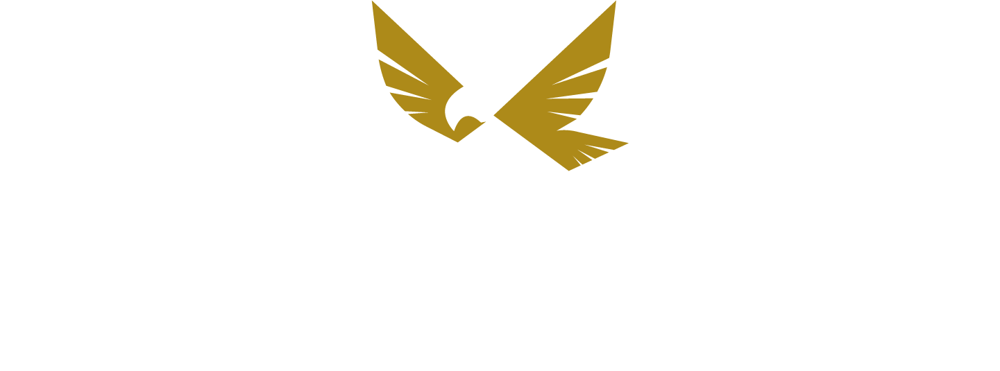 Eagle's View Logo